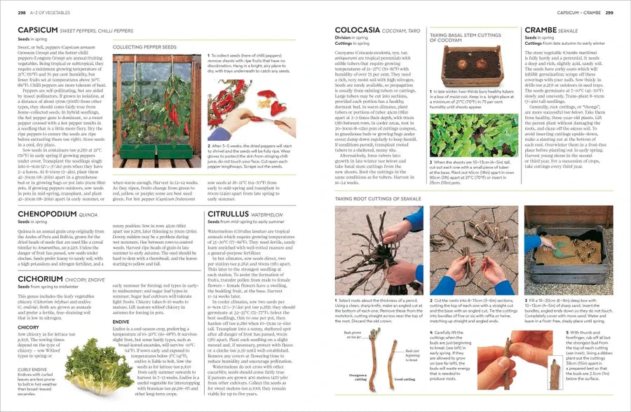 Propagating Plants US - Hardback