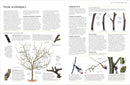 Pruning and Training US - Hardback