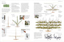 Pruning and Training US - Hardback