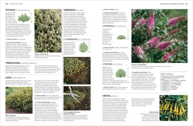 Pruning and Training US - Hardback