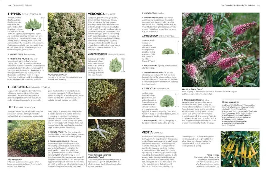 Pruning and Training US - Hardback