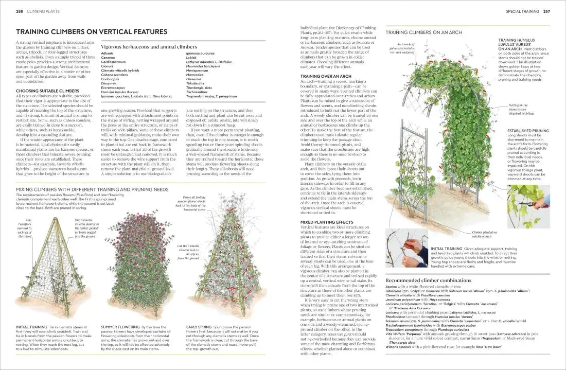 Pruning and Training US - Hardback