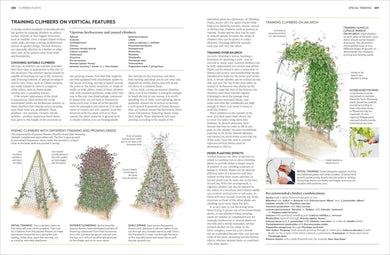 Pruning and Training US - Hardback