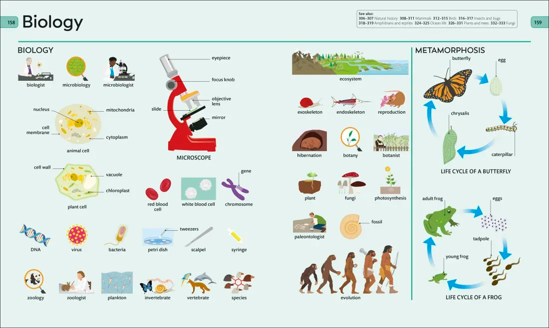 Children's Visual Dictionary US - Hardback