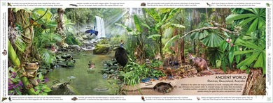 Rainforest US - Hardback