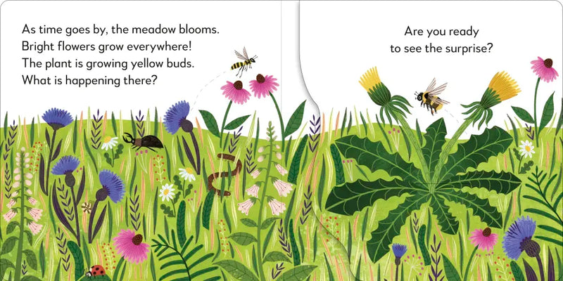 Pop-Up Peekaboo! Flower US - Board book