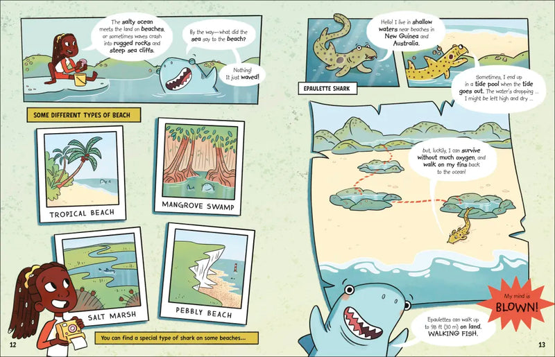 The Fact-Finders Ocean US - Paperback / softback