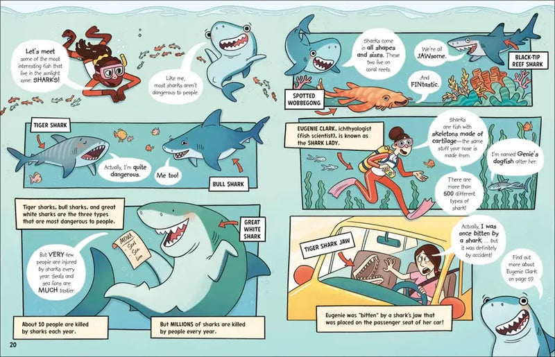 The Fact-Finders Ocean US - Paperback / softback