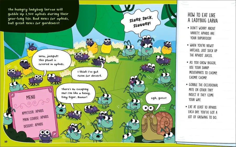 How to Be a Ladybug US - Book