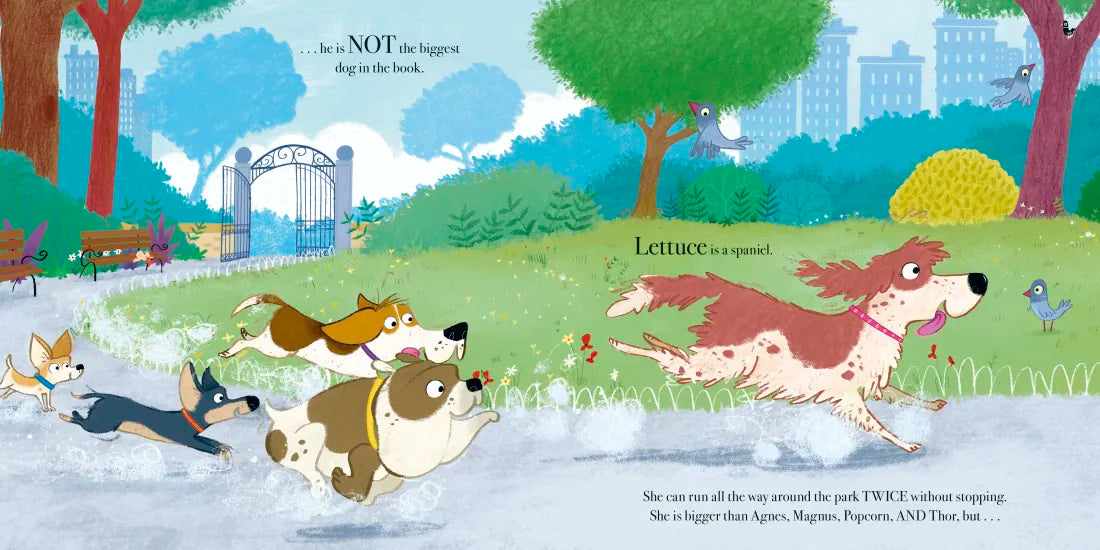 The Biggest Dog in the Book US - Hardback
