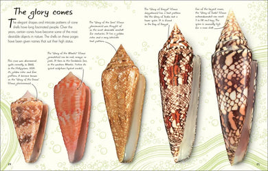 An Anthology of Shells US - Hardback