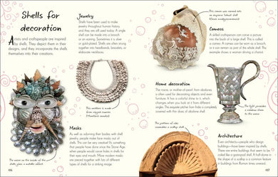 An Anthology of Shells US - Hardback