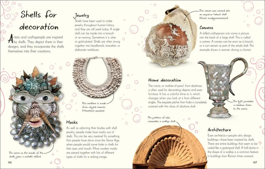 An Anthology of Shells US - Hardback