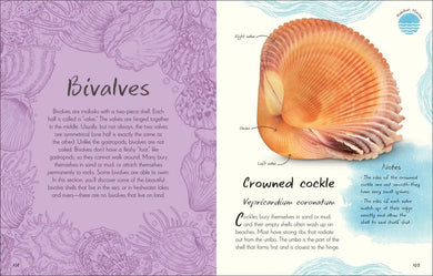 An Anthology of Shells US - Hardback