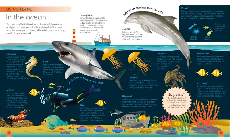 My First Encyclopedia US - Hardback