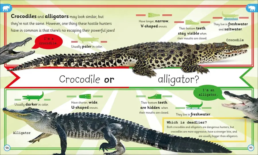 My Encyclopedia of Very Important Animals US - Hardback