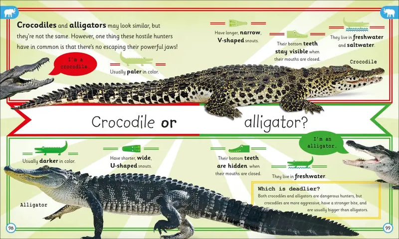 My Encyclopedia of Very Important Animals US - Hardback