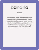 Phonic Books Dandelion 44 Sounds Cards US - Cards