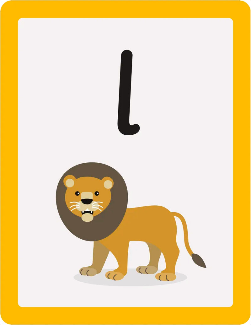 Phonic Books Dandelion 44 Sounds Cards US - Cards