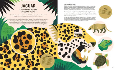 Zoom Out Natural World US - Hardback