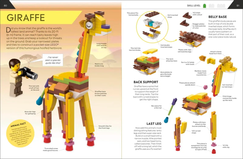 LEGO How to Build Everything! US - Hardback