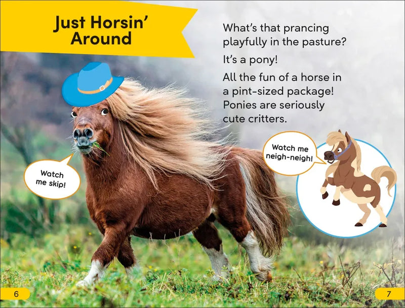 DK Super Readers Level 2 Prancing Pony US - Paperback / softback