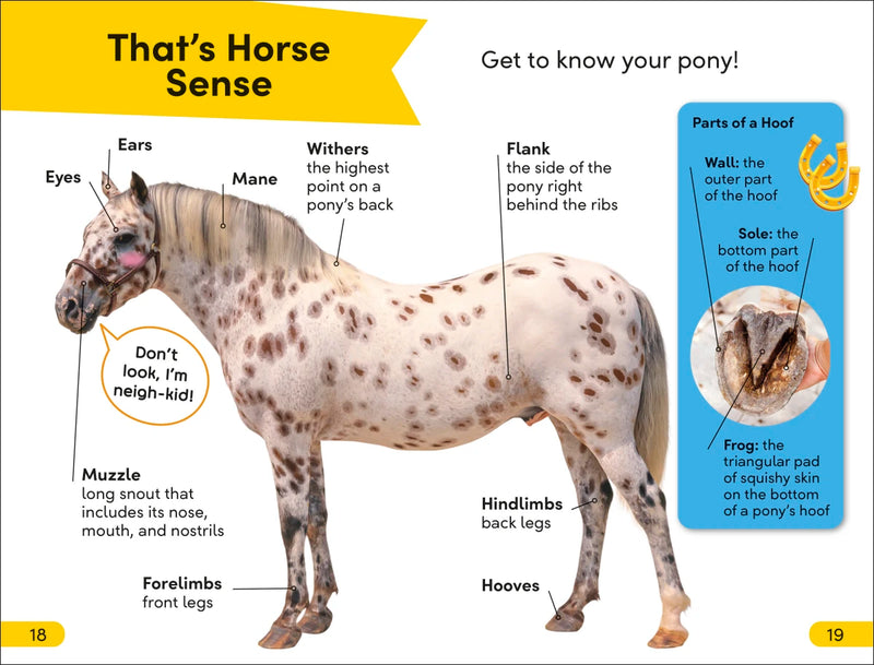 DK Super Readers Level 2 Prancing Pony US - Paperback / softback