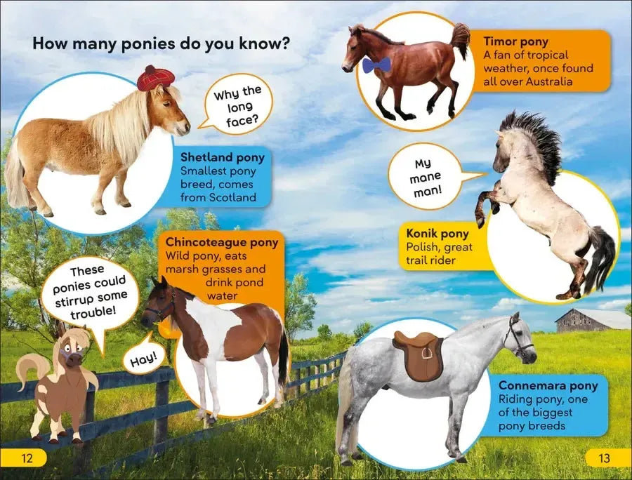 DK Super Readers Level 2 Prancing Pony US - Hardback