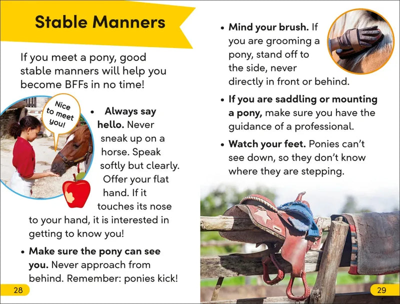 DK Super Readers Level 2 Prancing Pony US - Hardback