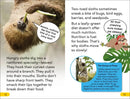 DK Super Readers Level 2 Sassy Sloth US - Paperback / softback