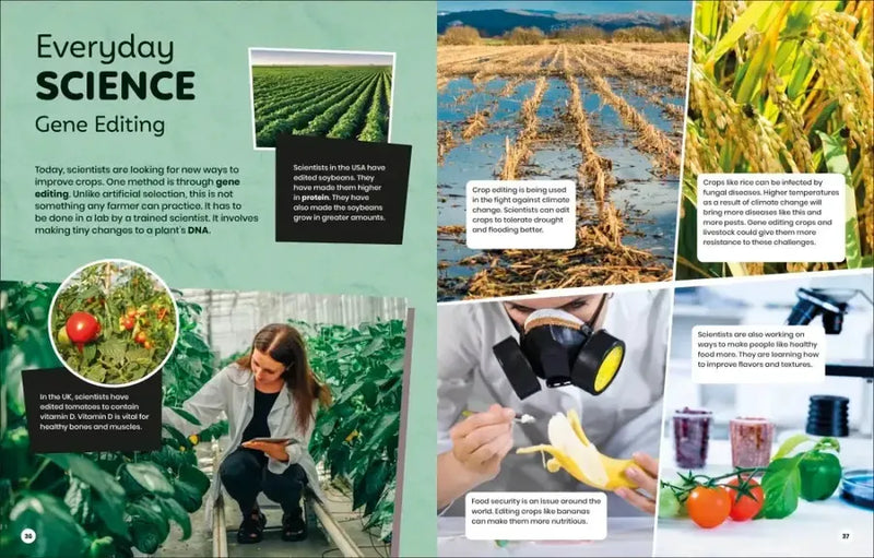 DK Super Planet Farming and Food Security US - Paperback / softback