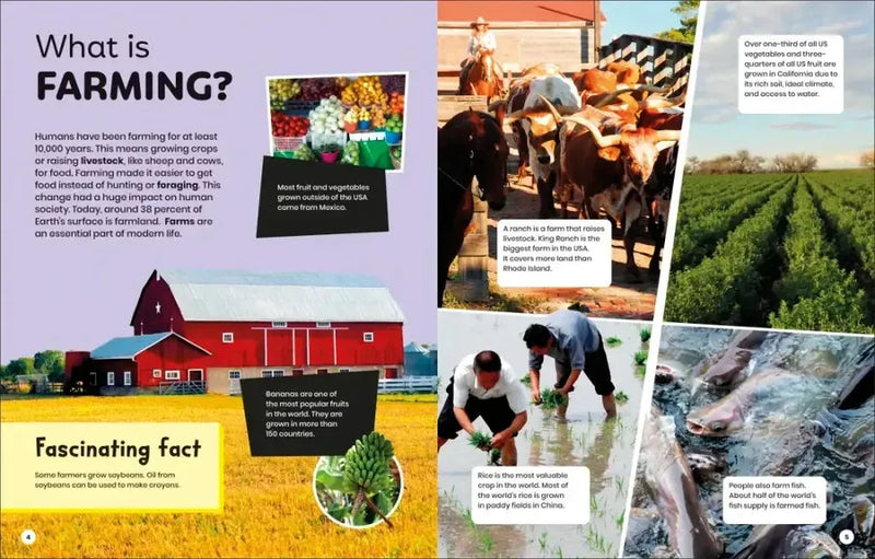 DK Super Planet Farming and Food Security US - Paperback / softback