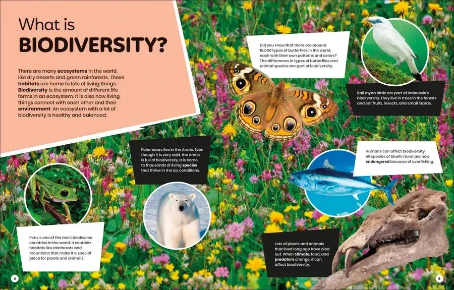 DK Super Planet Beautiful Biodiversity US - Hardback