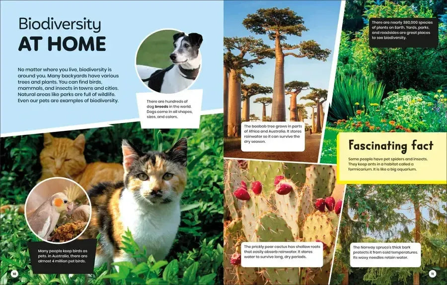 DK Super Planet Beautiful Biodiversity US - Hardback