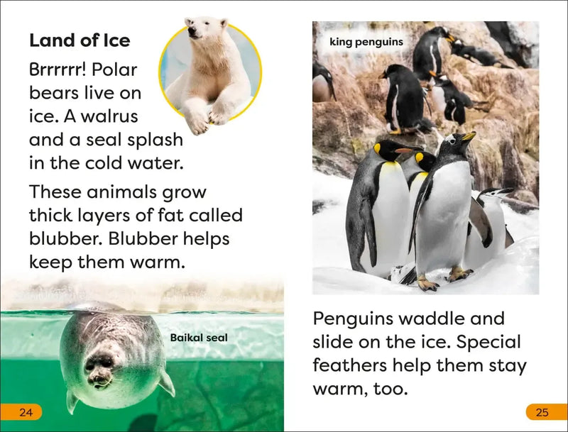 DK Super Readers Level 1 A Trip to the Zoo US - Paperback / softback