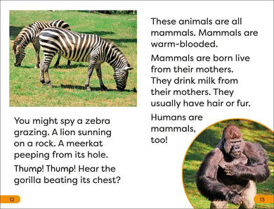 DK Super Readers Level 1 A Trip to the Zoo US - Hardback