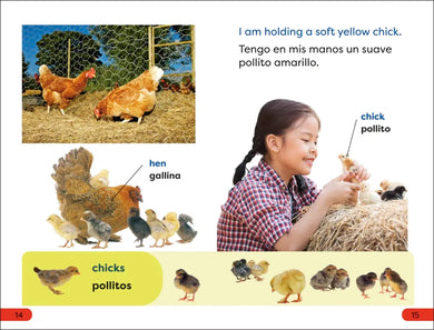 DK Super Readers Pre-Level Spanish Bilingual A Day at the Petting Zoo – Un día en el zoológico interactivo US - Paperback / softback