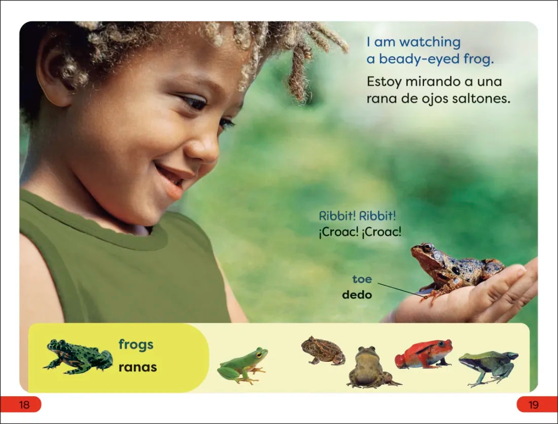 DK Super Readers Pre-Level Spanish Bilingual A Day at the Petting Zoo – Un día en el zoológico interactivo US - Paperback / softback