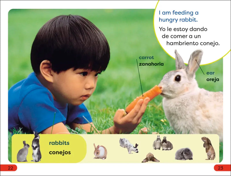 DK Super Readers Pre-Level Spanish Bilingual A Day at the Petting Zoo – Un día en el zoológico interactivo US - Paperback / softback