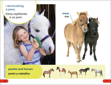 DK Super Readers Pre-Level Spanish Bilingual A Day at the Petting Zoo – Un día en el zoológico interactivo US - Hardback