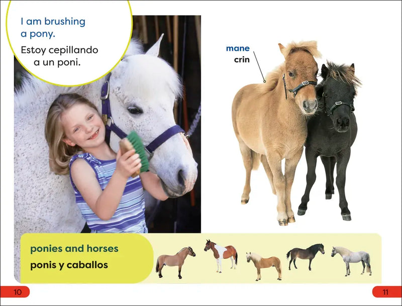 DK Super Readers Pre-Level Spanish Bilingual A Day at the Petting Zoo – Un día en el zoológico interactivo US - Hardback