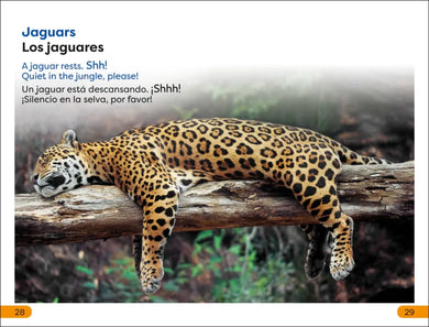 DK Super Readers Level 1 Spanish Bilingual Jungle Animals – Animales de la selva US - Hardback