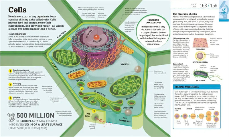How Science Works US - Hardback
