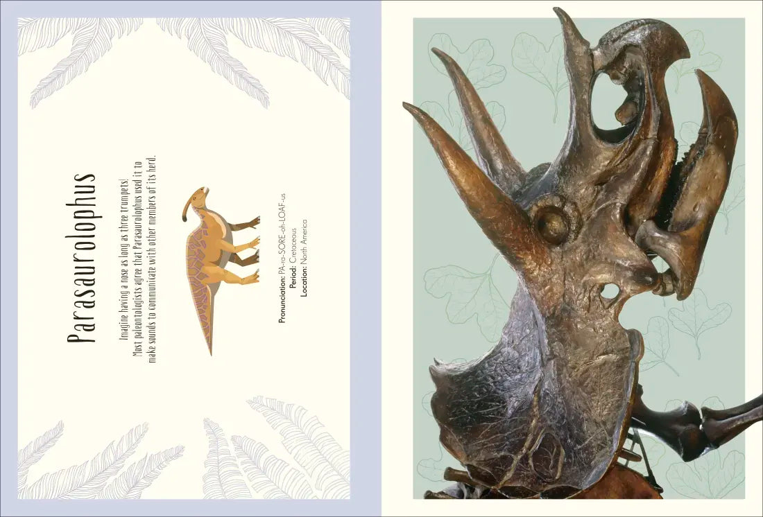 Dinosaurs and Other Prehistoric Life Poster Book US - Paperback / softback