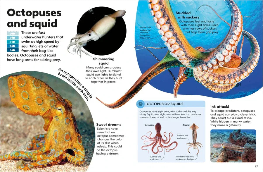 Eyewonder Oceans US - Hardback