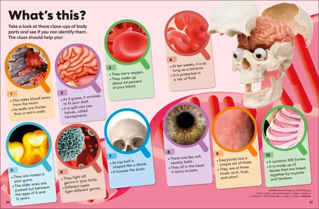 Eyewonder Human Body US - Hardback