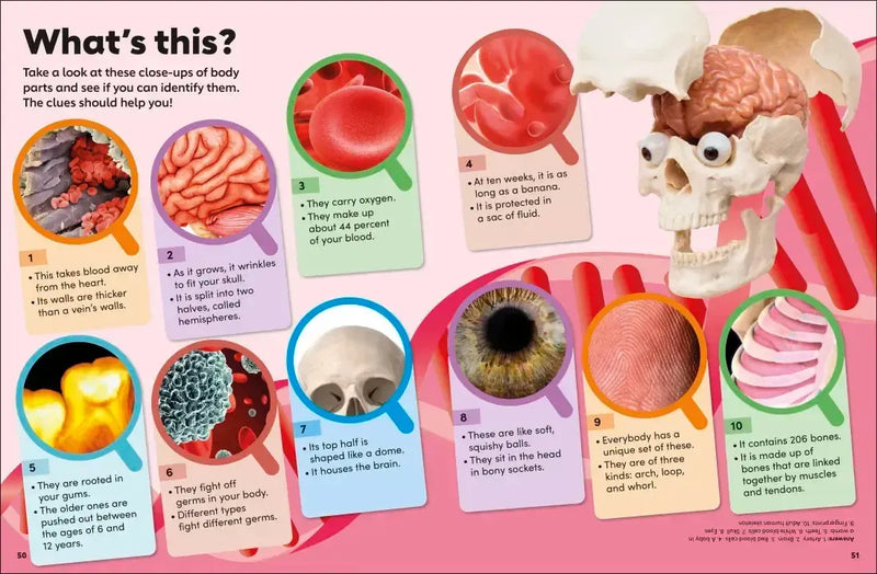 Eyewonder Human Body US - Hardback