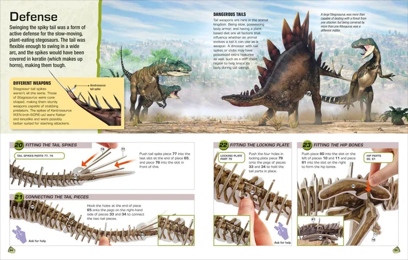Make Your Own Stegosaurus US - Hardback
