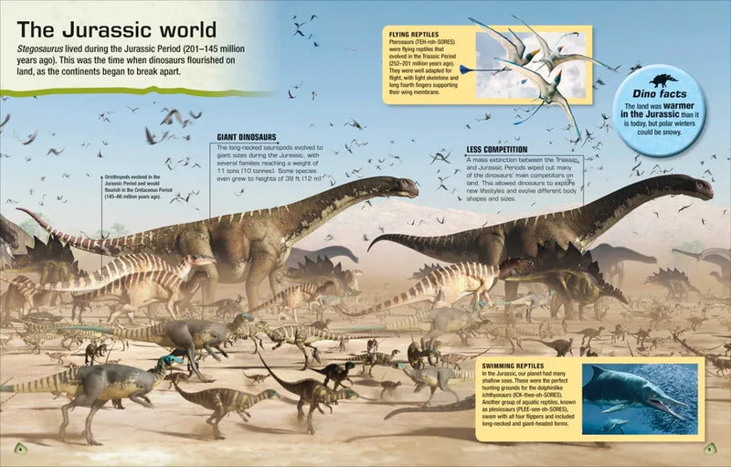 Make Your Own Stegosaurus US - Hardback