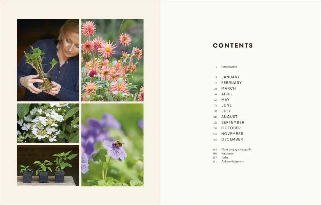 The Money-Saving Garden Year US - Hardback